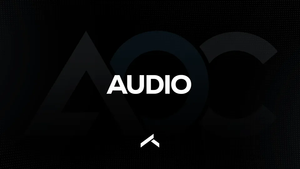 Audio module